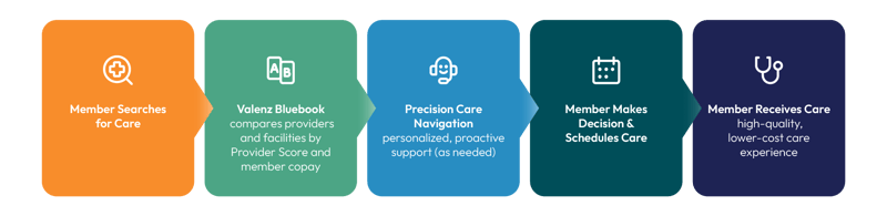 valenzone-timeline-graphic